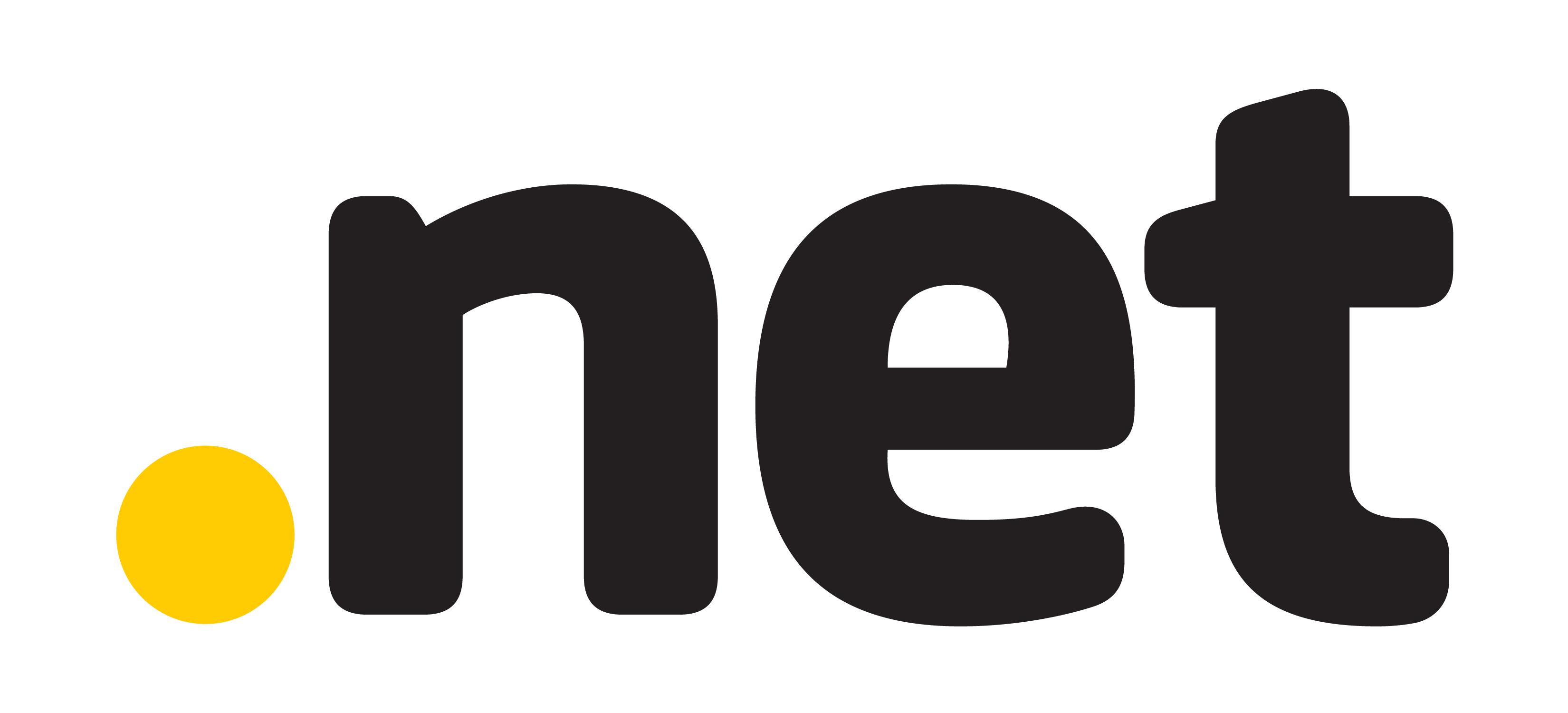 .net domain logo