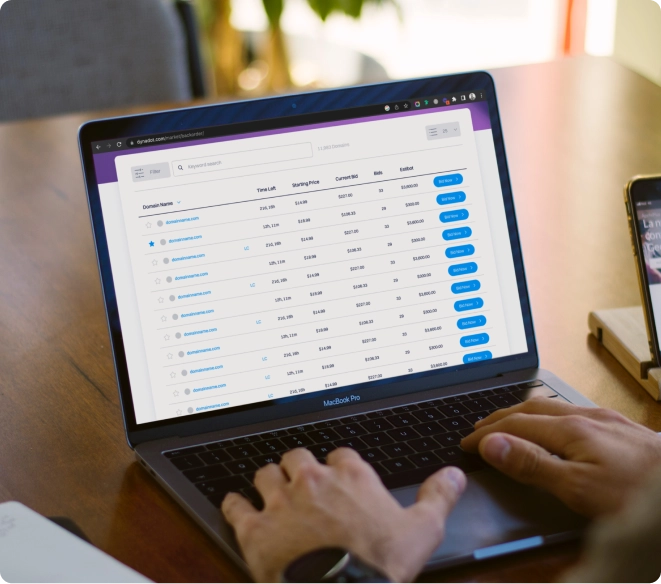 dynadot customers looking at domain backorder auctions on their laptop